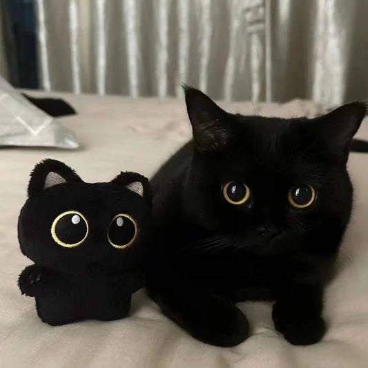 Black Cat "Moon" Companion™